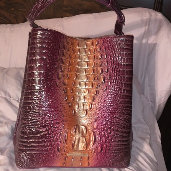 Large multi color Brahmin - Picture 7 of 7